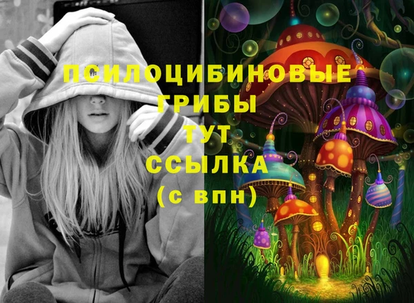 гидра Алзамай